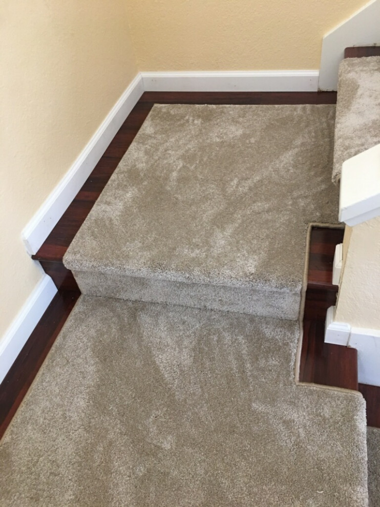 Transitional carpeted l-shaped staircase photo in San Diego with carpeted risers