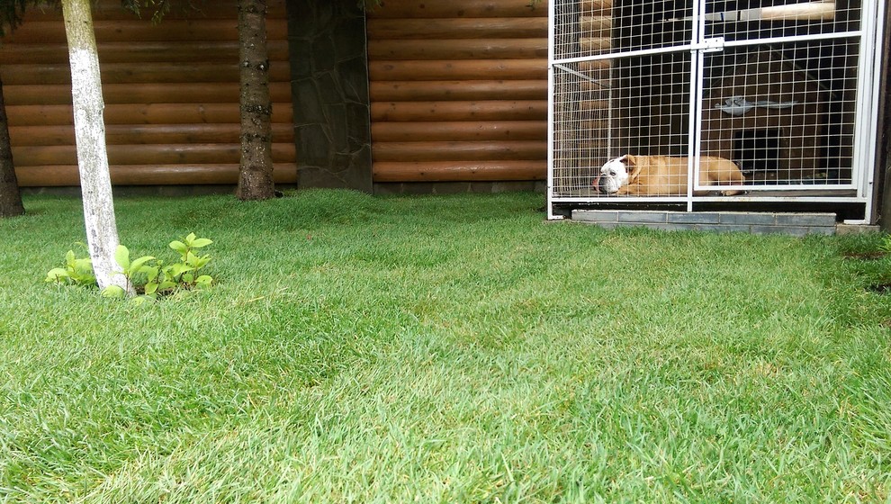 Укладка рулонного газона "под ключ"