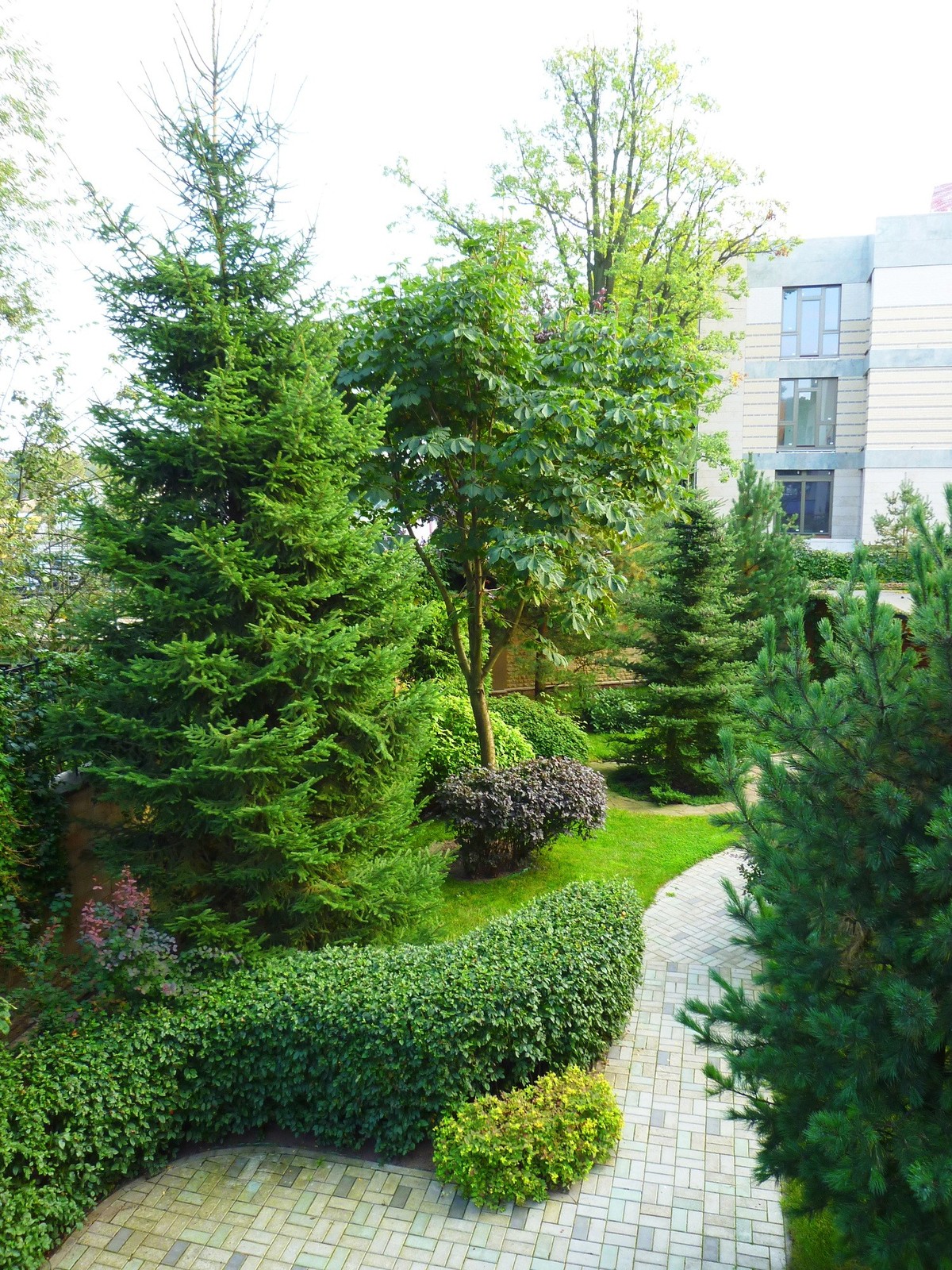 Озеленение жилого комплекса