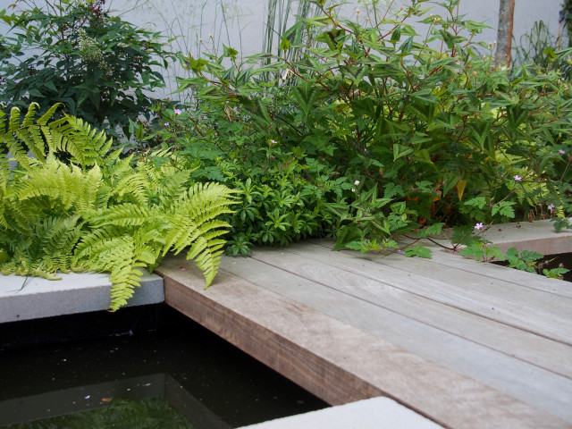 Stoke Newington Garden contemporary-garden