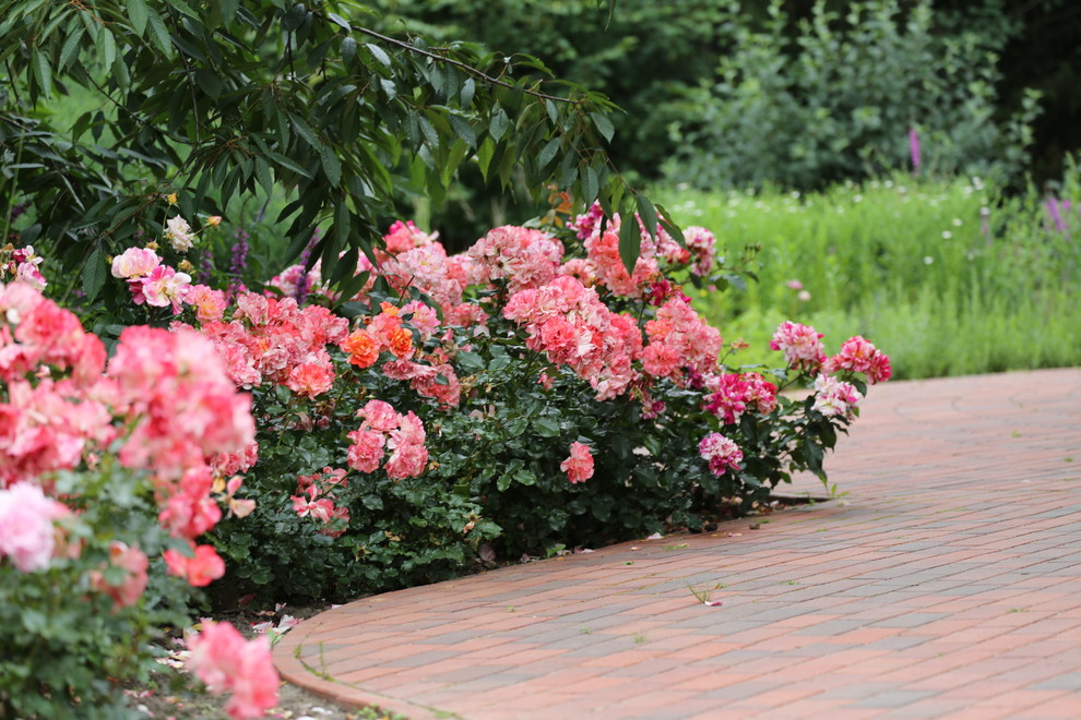 Розарии в садах NB-GARDEN