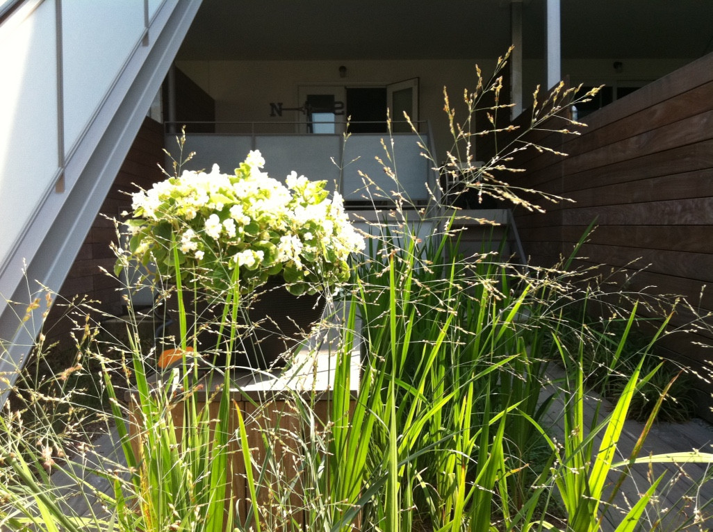 Narrow Townhouse Garden