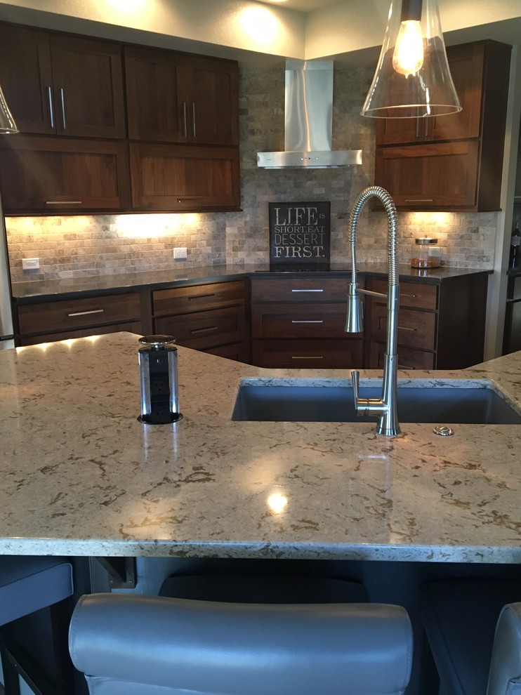 Example of a transitional home design design in Denver