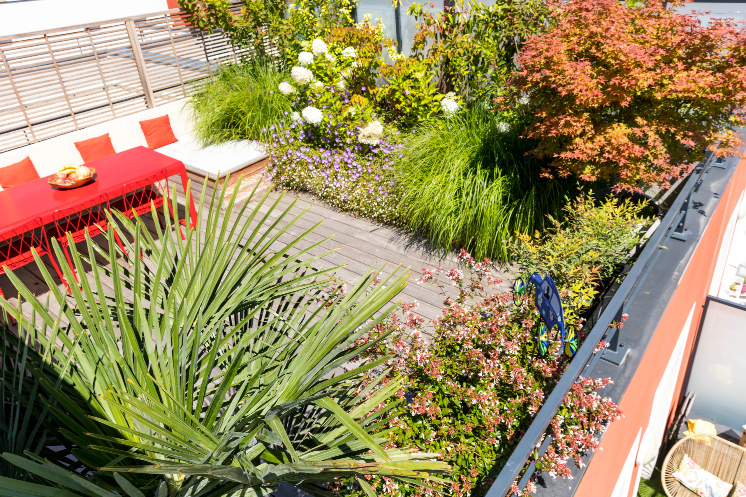 une terrasse foisonnante!