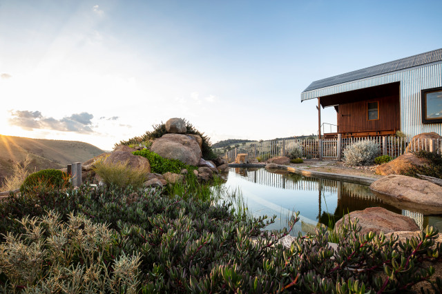 Natural Swimming Pools pool