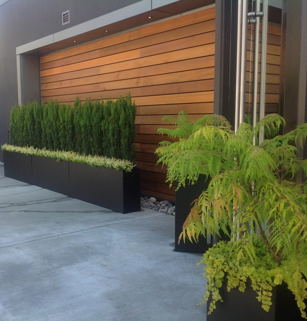 Wood accent wall.... Contemporary Patio Vancouver by Object