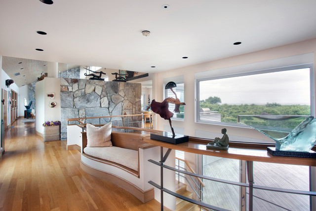 Mendelson House contemporary-entre