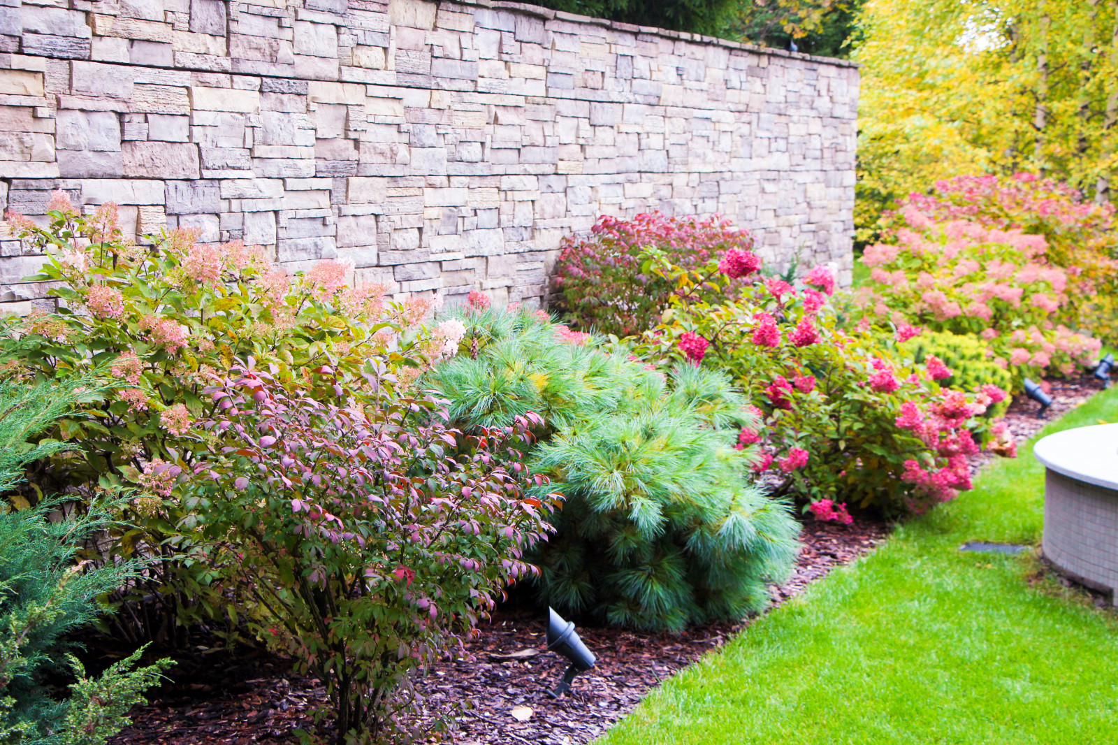 Лобаново, 2012-2021 гг.