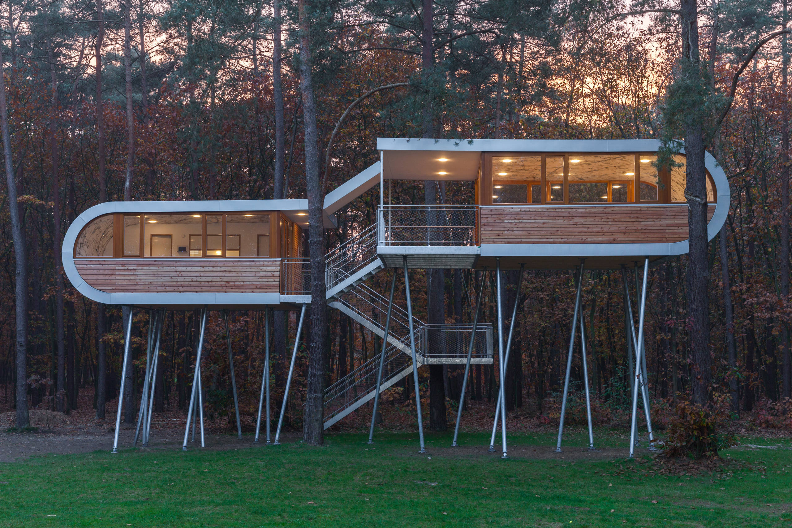 Der Traum vom Baumhaus