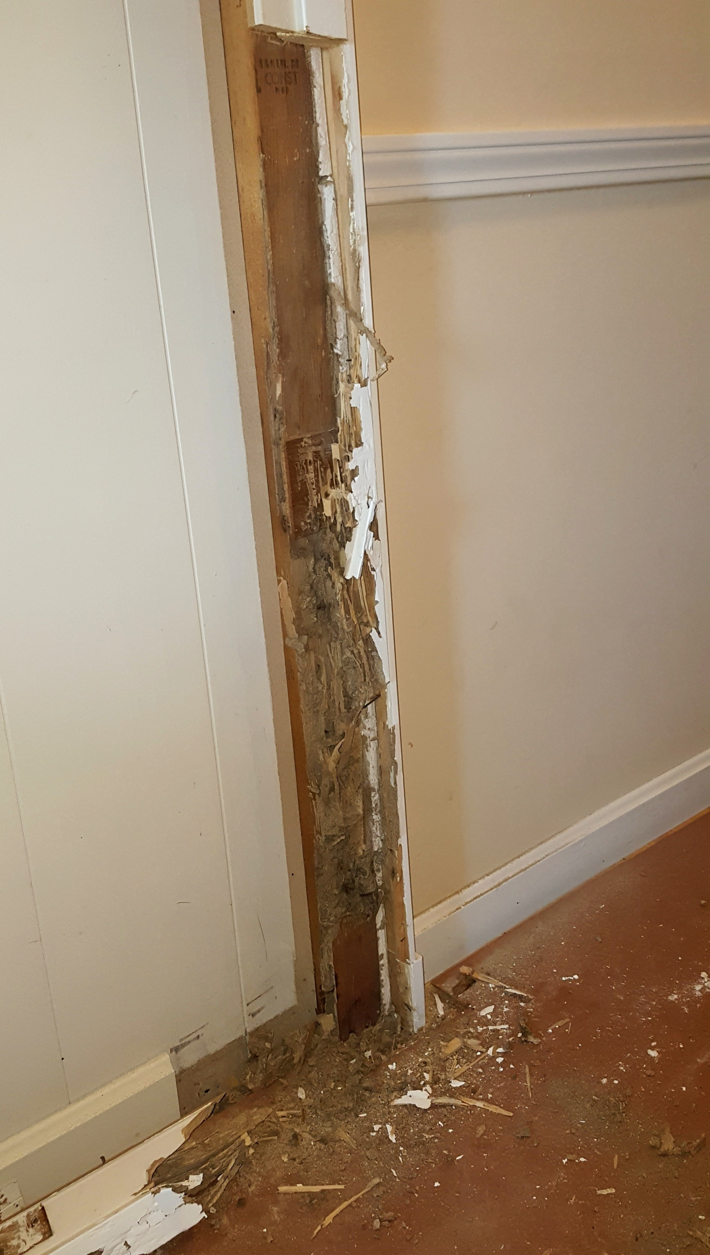 Repair & Replacement