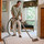 Chattanooga Carpet Cleaning Pros