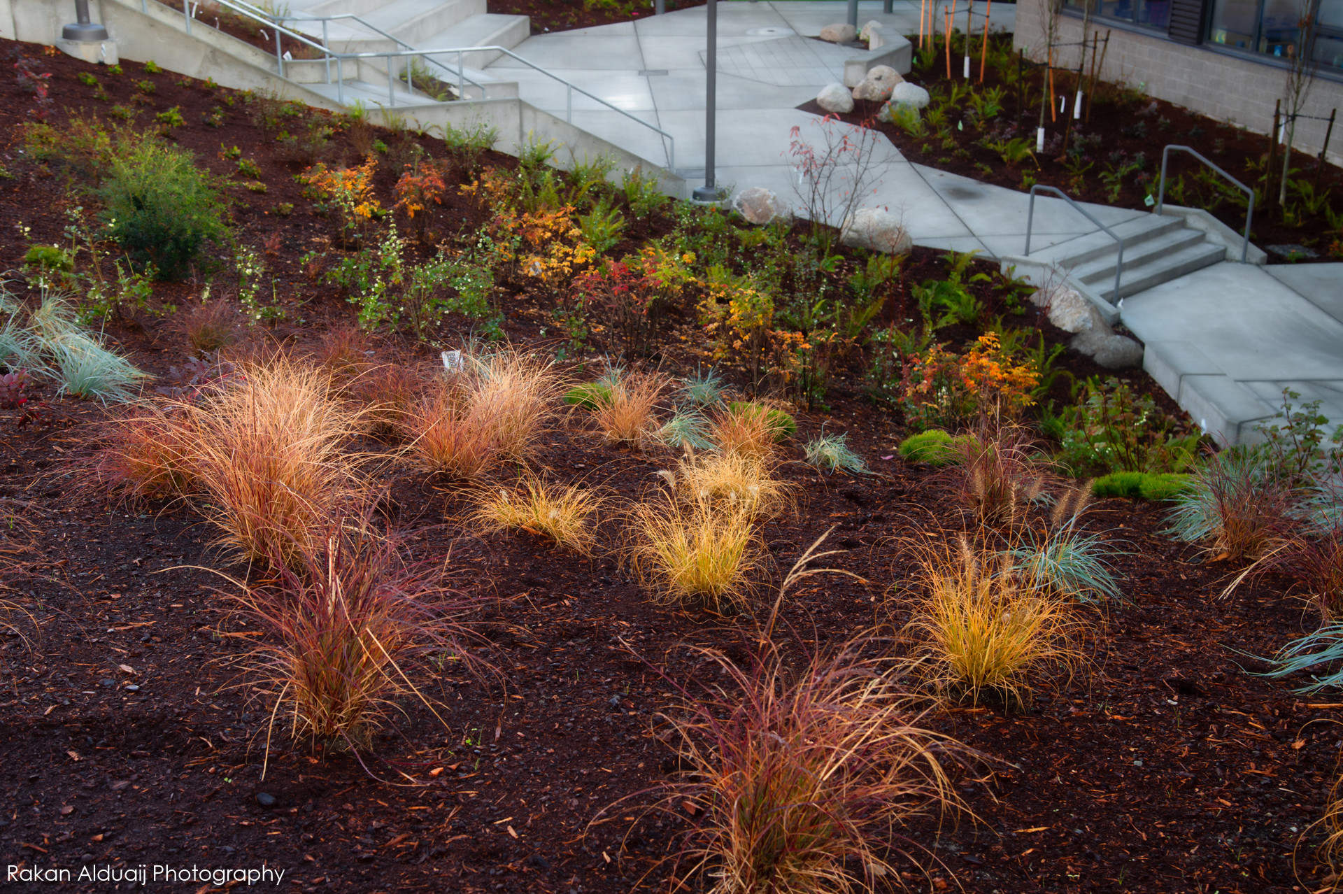 COMMERCIAL LANDSCAPE SERVICES