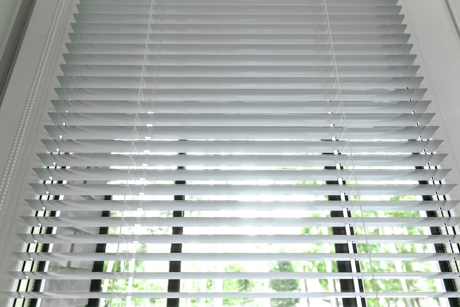 Система Изотра для школы иностранных языков "Бэст"