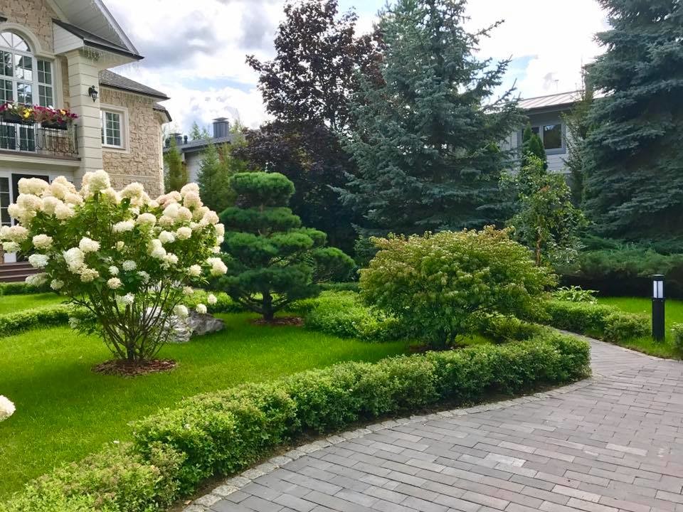 осенние краски