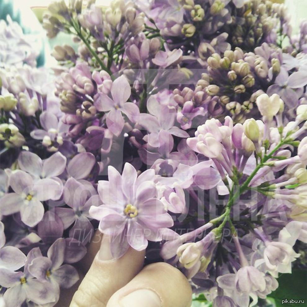 Городская квартира в классическом стиле