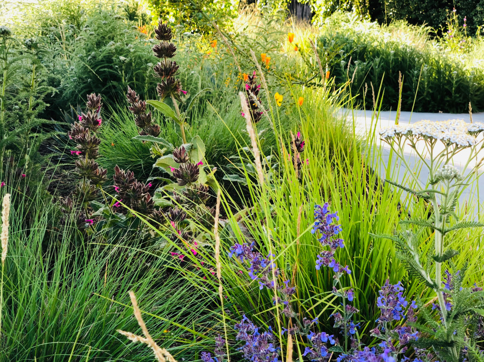 Идея дизайна: солнечный, весенний засухоустойчивый сад среднего размера на переднем дворе в стиле модернизм с дорожками, хорошей освещенностью, покрытием из каменной брусчатки и с деревянным забором