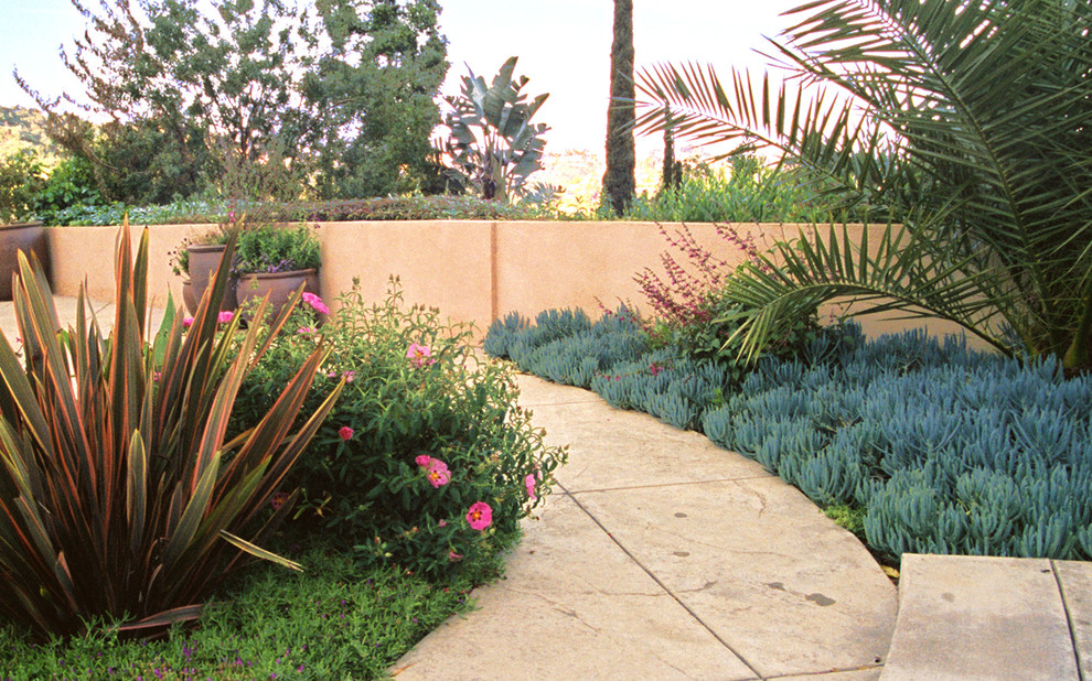 Photo of a large tropical backyard full sun xeriscape in Los Angeles with a container garden and concrete pavers.