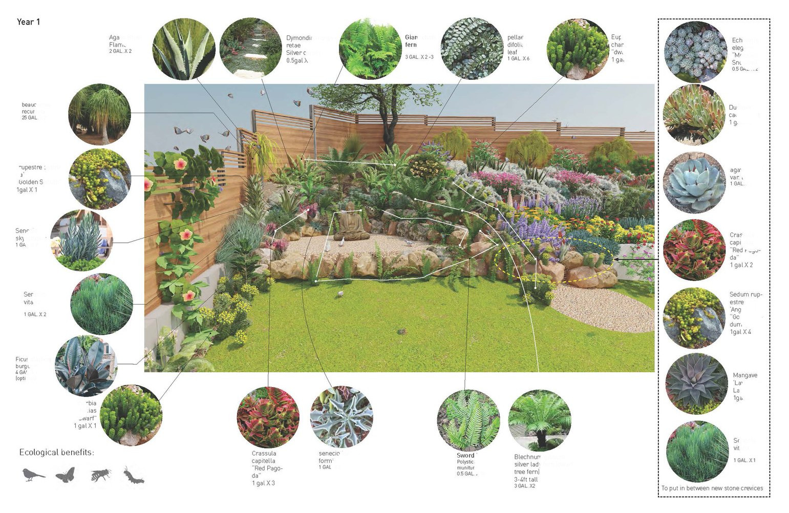 Buddha Area Design