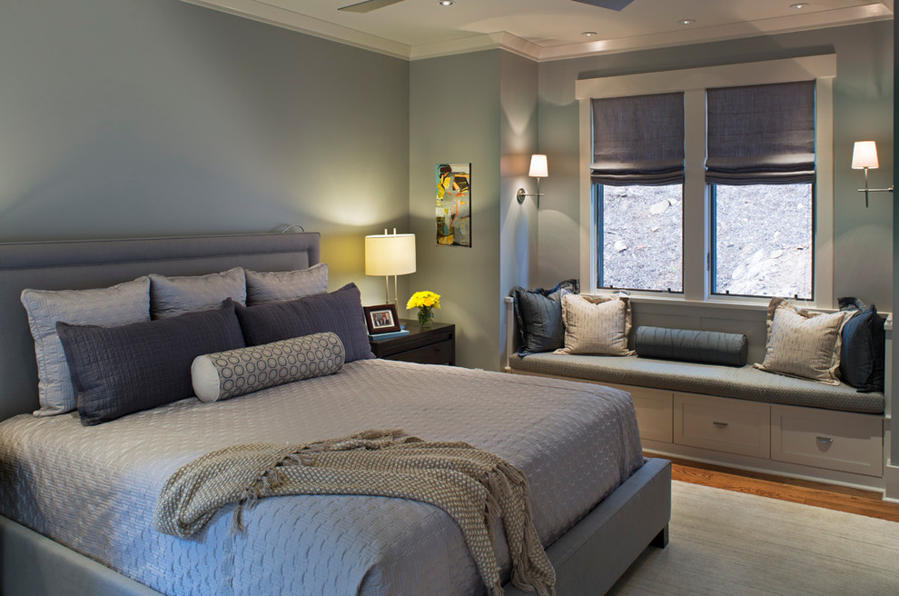 Design ideas for a transitional bedroom in Other with blue walls and medium hardwood floors.