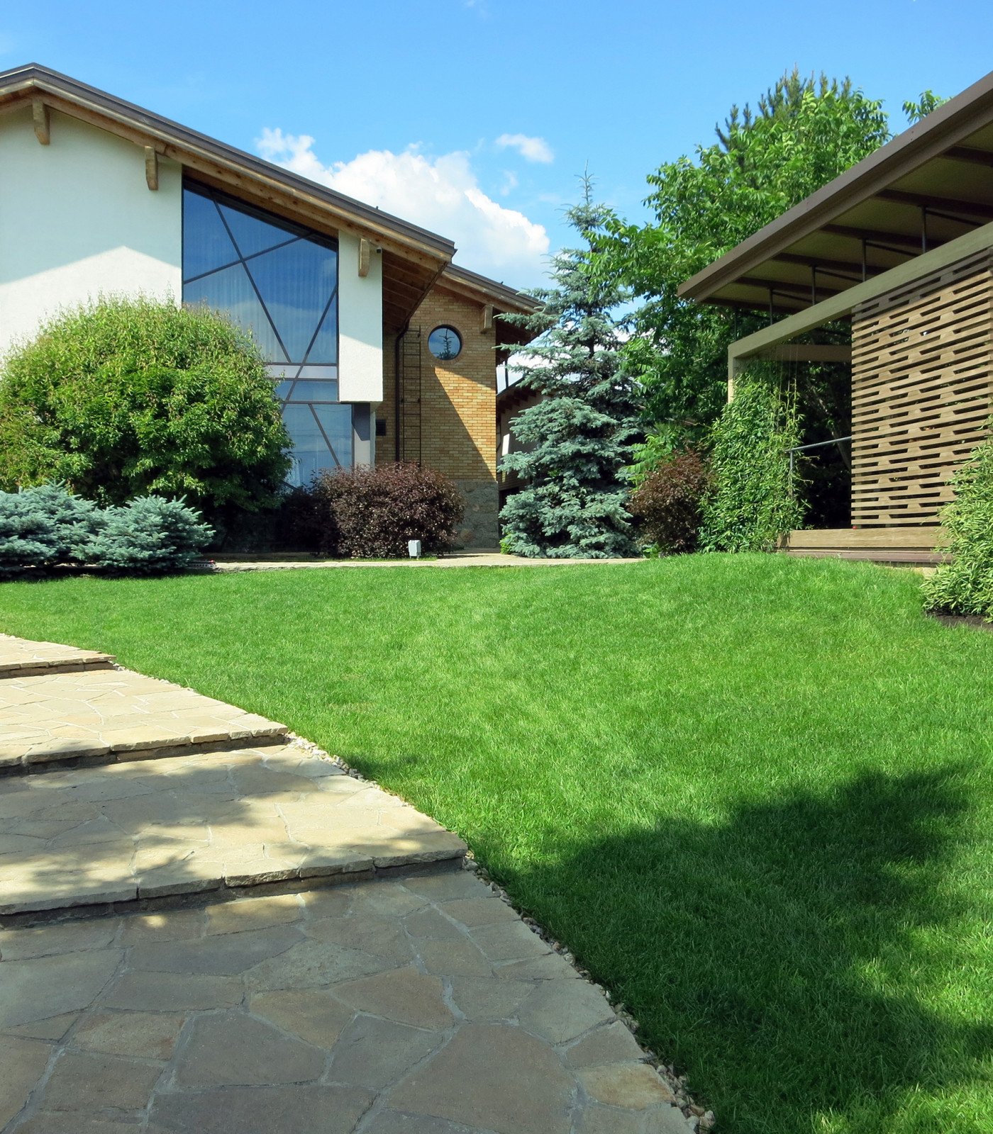 Сад с большими пихтами