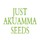 Just Akuamma Seeds