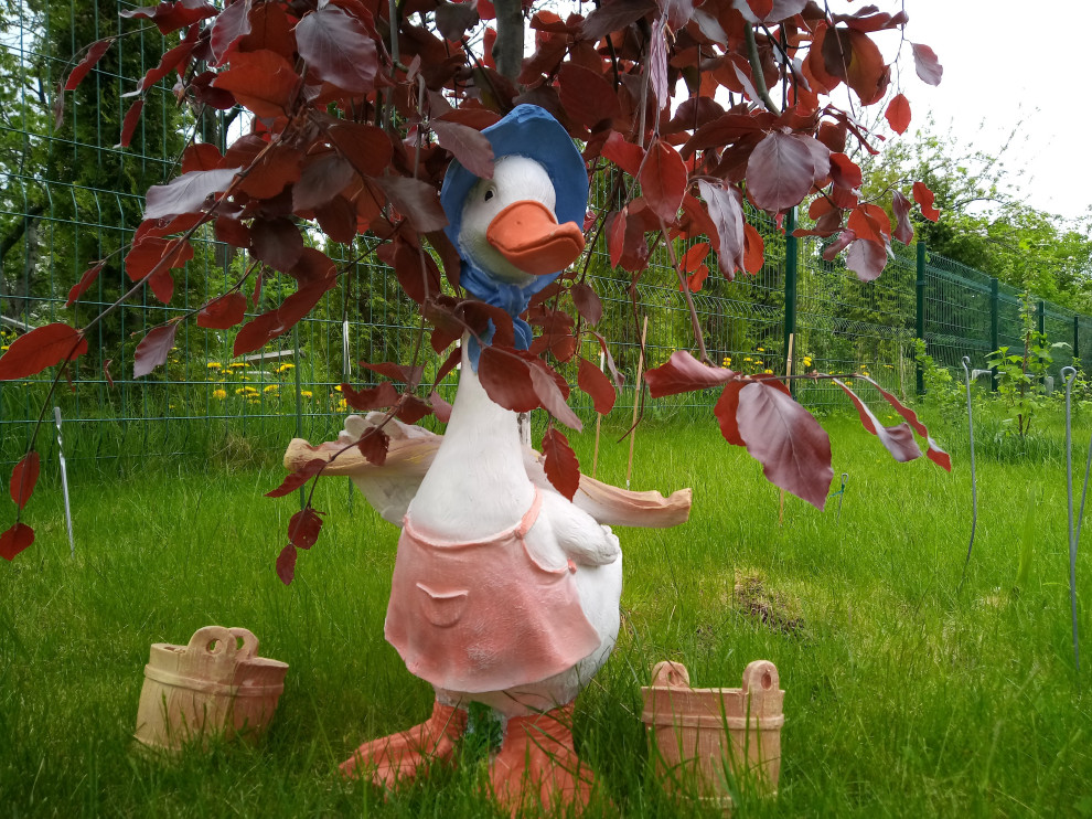 г. Пионерский, Калининградская область