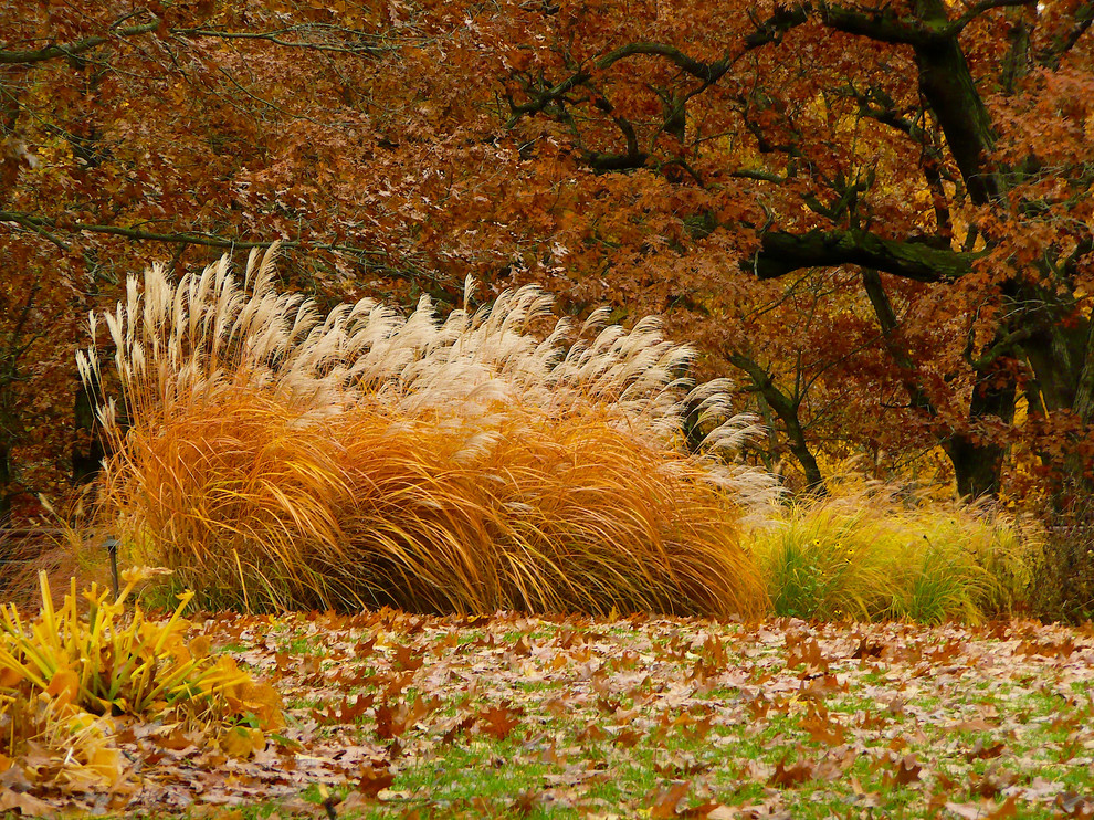 Inspiration for a country garden in Chicago.