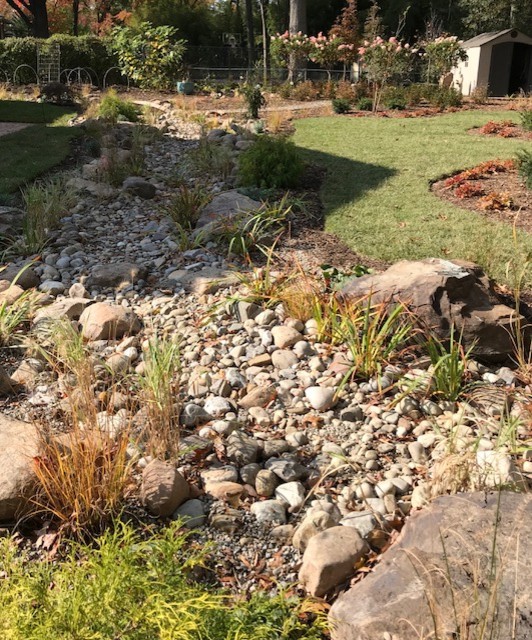 Inspiration for a large transitional backyard partial sun xeriscape for summer in DC Metro with gravel.