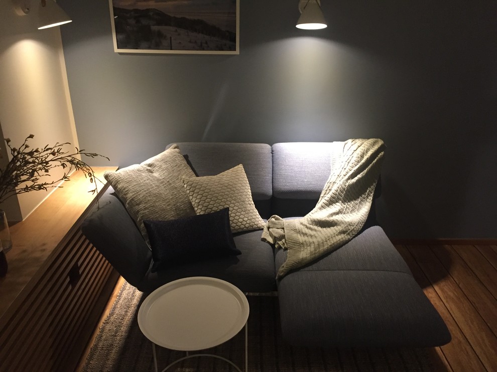 Mittelgroßes Maritimes Wohnzimmer mit blauer Wandfarbe, Vinylboden und braunem Boden in Sonstige