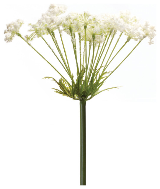 Queen Anne's Lace Stem, Set of 2