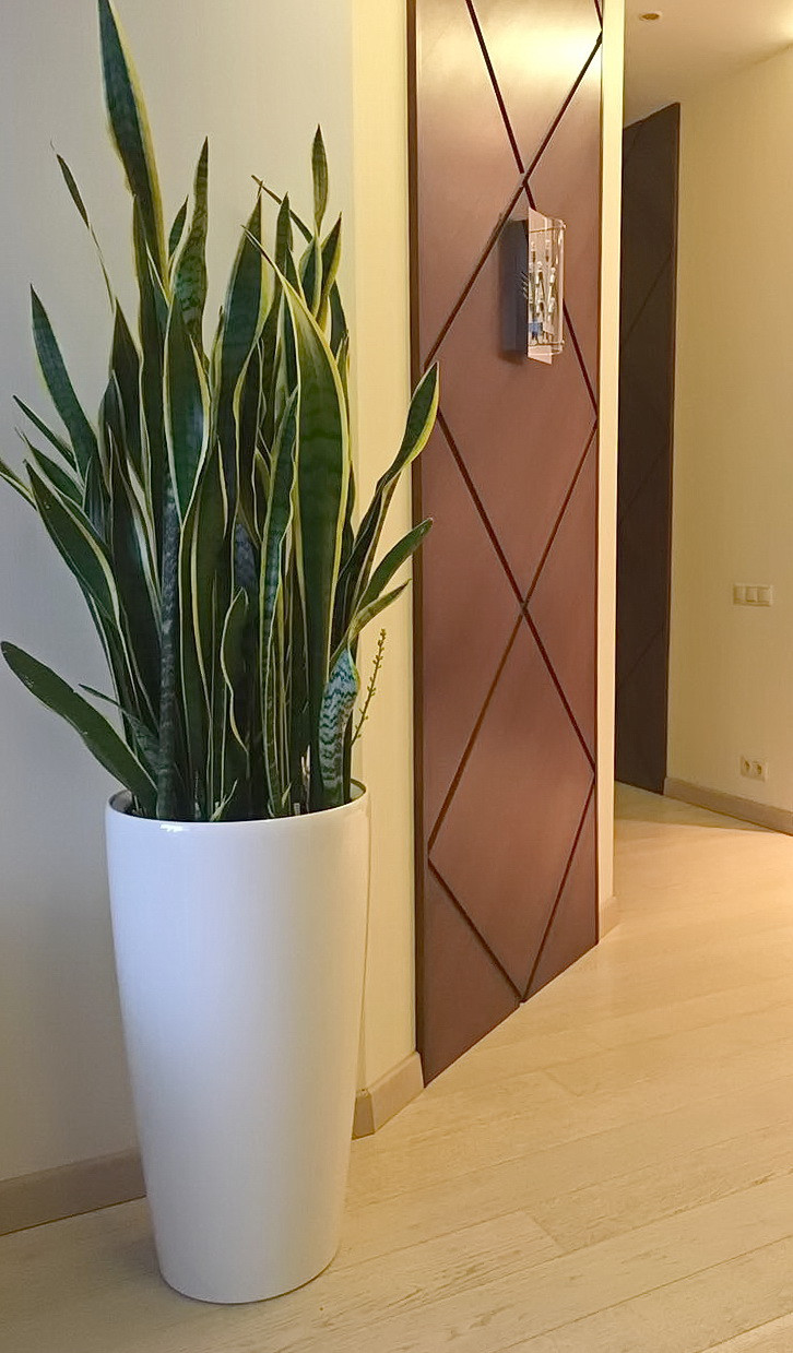 Озеленение частных квартир