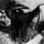 lea_tarral