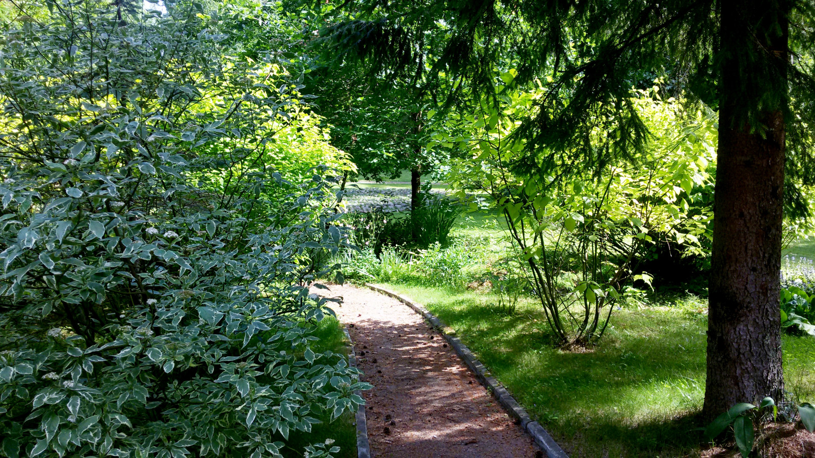 Романтический сад в пейзажном стиле