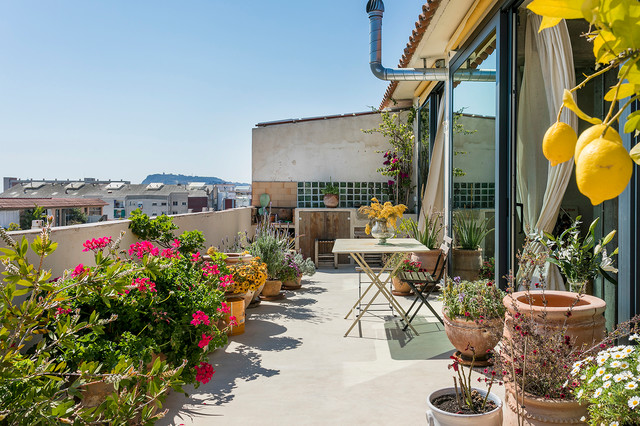 25 plantas y flores de verano para decorar tu terraza o balcón