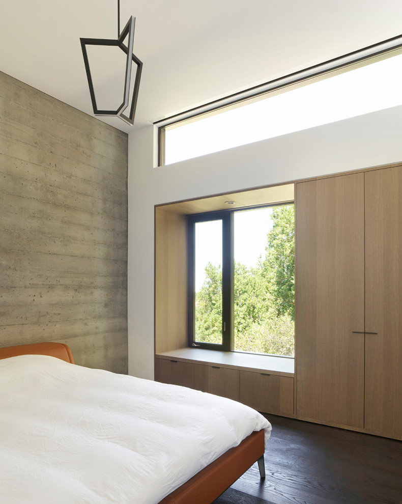 Esempio di una piccola camera degli ospiti moderna con pareti bianche, parquet scuro e pavimento grigio