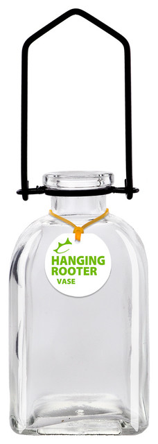 Hanging Roma Recycled Glass Rooting Vase, Clear