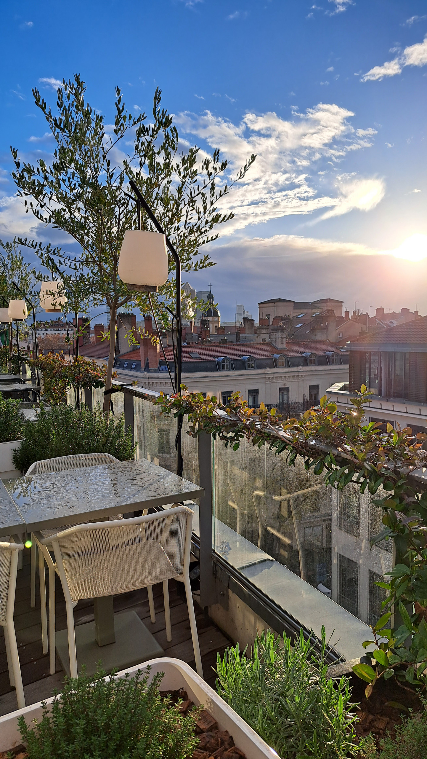 Aménagement d'une terrasse de 80m2