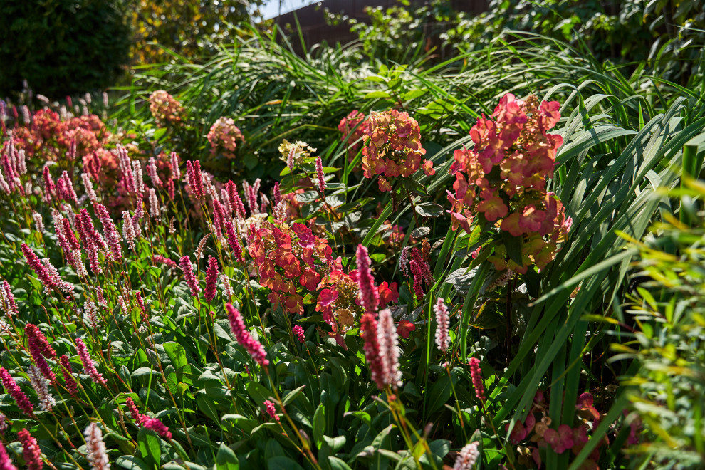Сад в розовой дымке