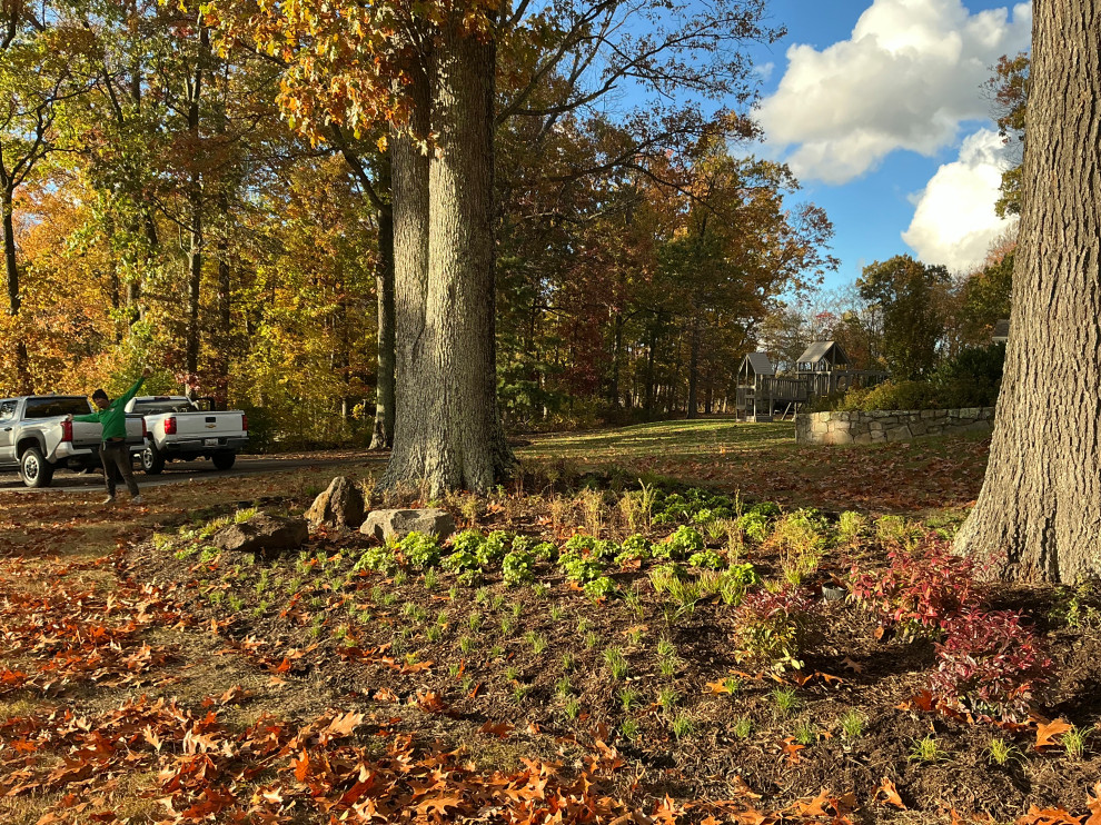 Impactful, serene and native entrance.