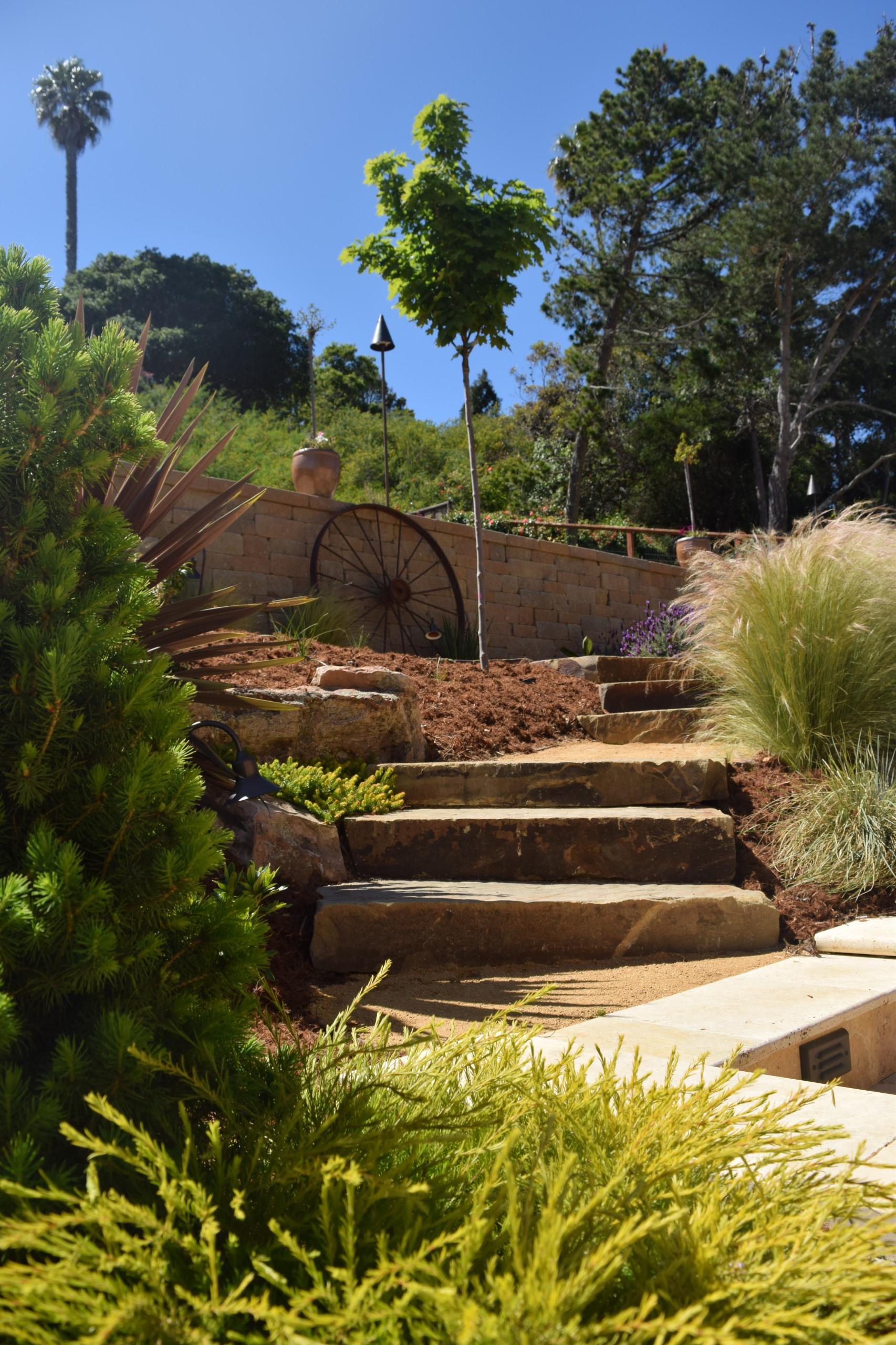 Mediterranean Backyard Transformation - Tiburon, CA