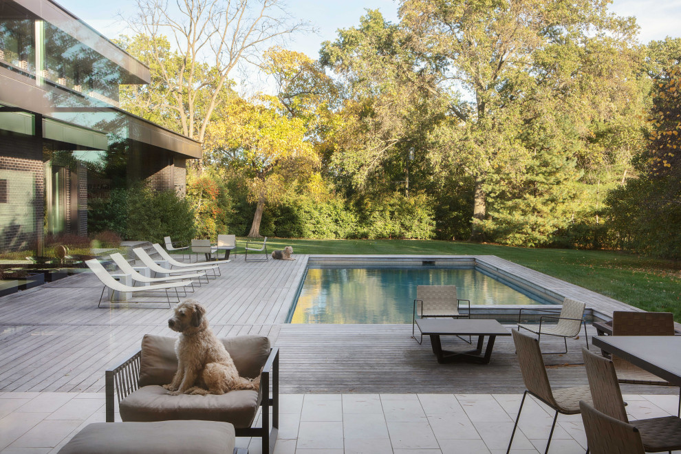 Imagen de piscinas y jacuzzis alargados minimalistas grandes rectangulares en patio trasero con entablado