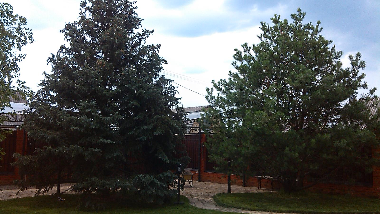 Домик среди старых дач