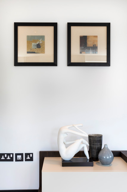 A Pimlico apartment contemporary-living-room