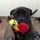 wanda_castro