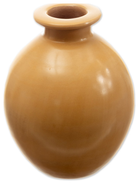 Novica Handmade Exquisite Earth Ceramic Decorative Vase