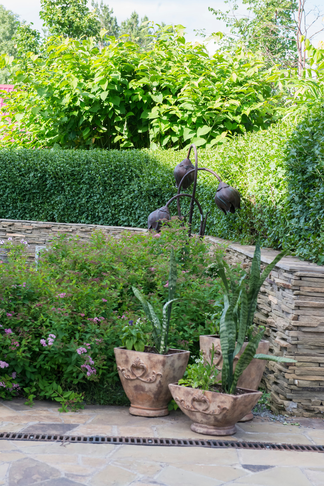 Маленький сад в пригороде