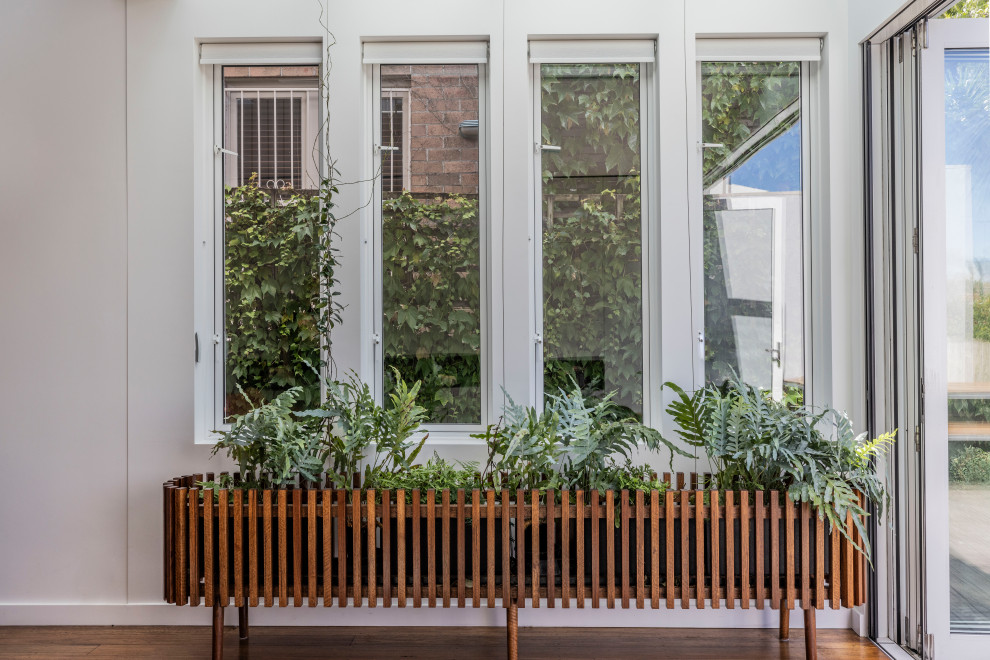 Mittelgroßer Moderner Wintergarten mit braunem Holzboden und braunem Boden in Sydney