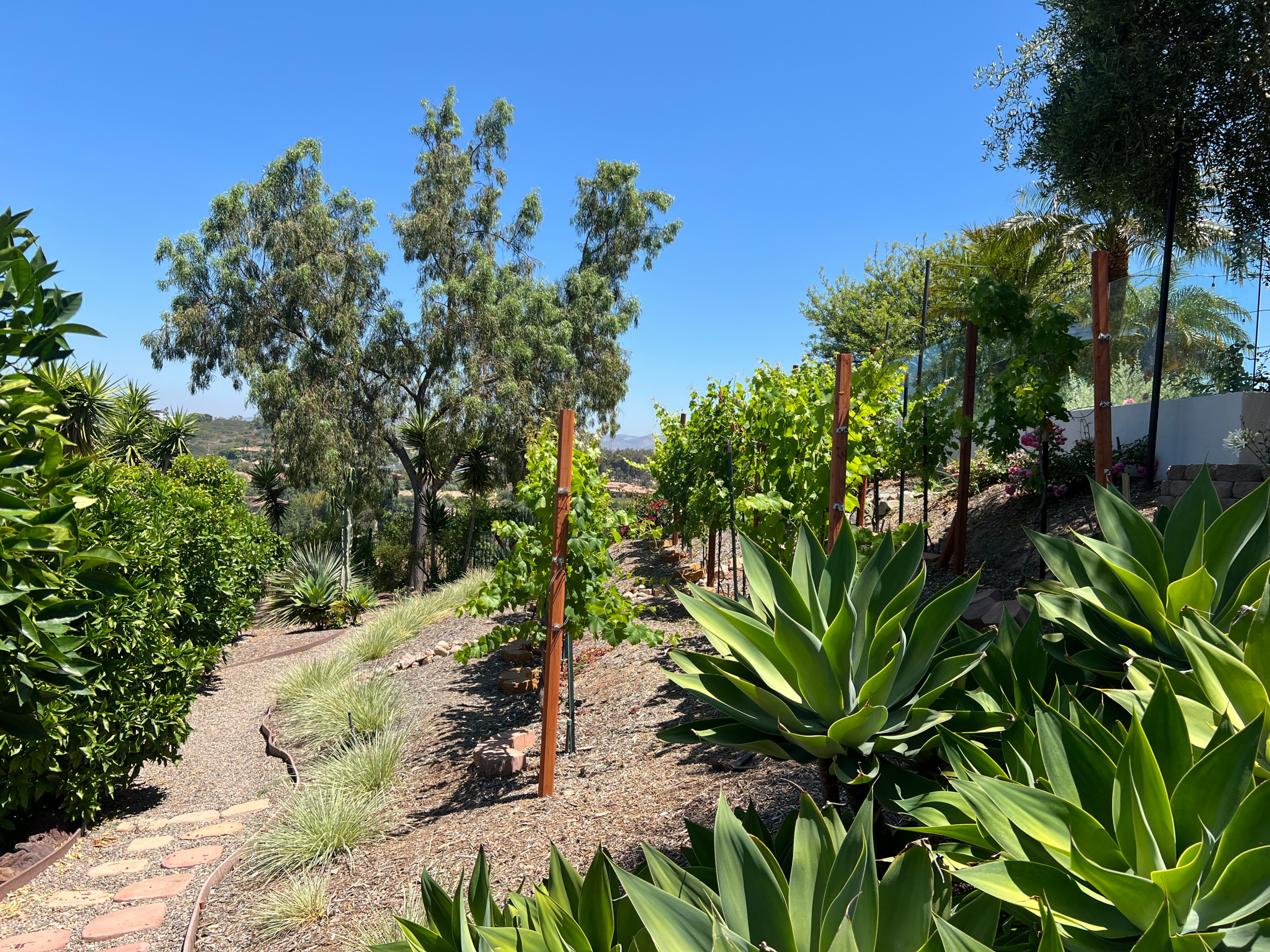 Rancho Santa Fe retreat