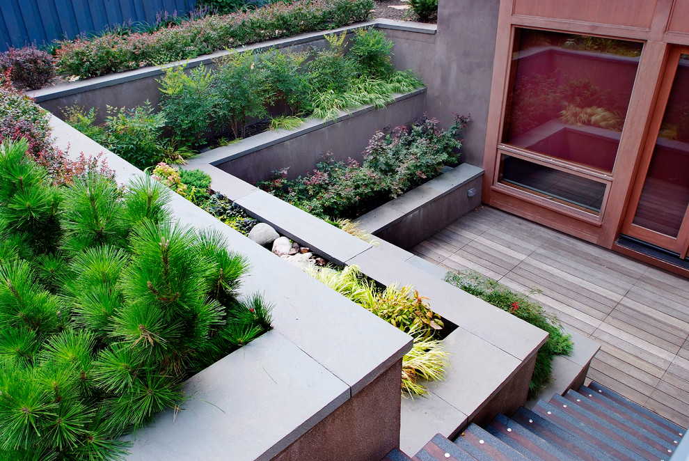 This is an example of a contemporary garden in Philadelphia.
