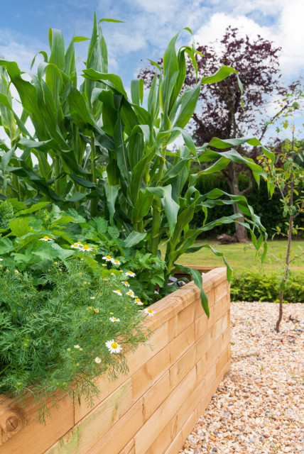 Raised Vegetable Beds landstil-have